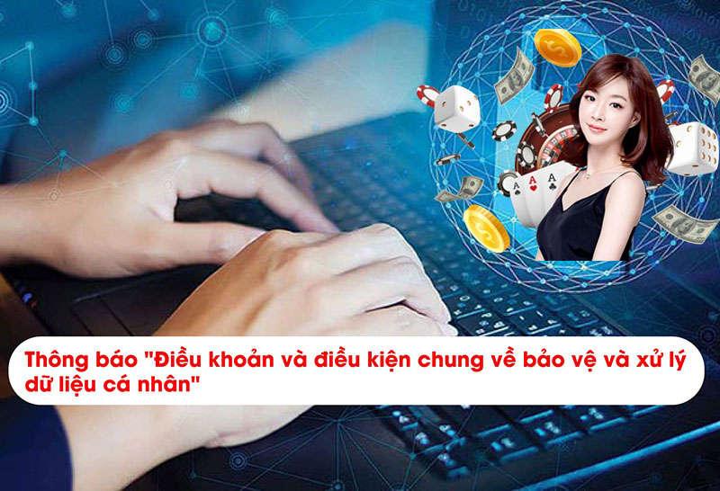 điều khoản nhà cái RS8