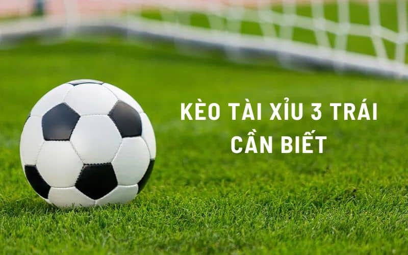 Kèo tài xỉu 3 trái những điều cần biết